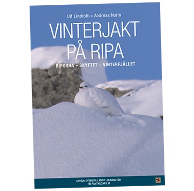 Vinterjakt på rype med Ulf Lindroth - Rypene, skytinga og vinterfjellet